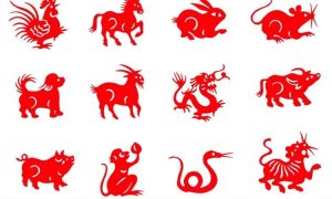 Was sagt dein chinesisches Sternzeichen über deine Persönlichkeit aus?