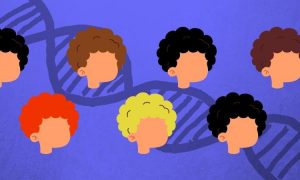welche haarfarbe bekommt mein kind - Kinder mit unterschiedlichen Haaren, Genen