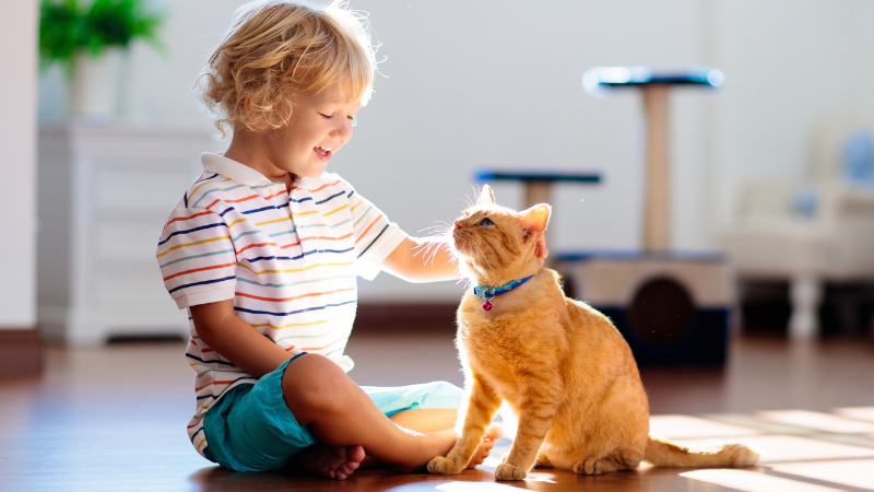 5 Dinge, die deine Kinder lernen werden, wenn sie eine Katze adoptieren