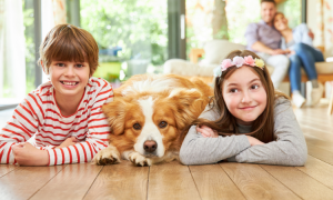 Vorteile Haustierhaltung: Wie Kinder von der Haustierhaltung profitieren