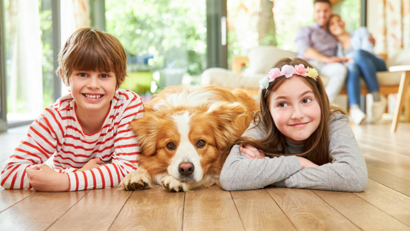 Vorteile Haustierhaltung: Wie Kinder von der Haustierhaltung profitieren