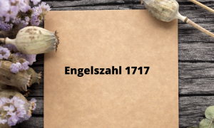 Engelszahl 1717 - Was bedeutet die Engelszahl 1717?