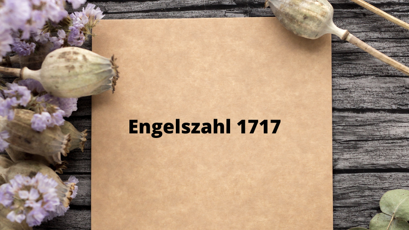 Engelszahl 1717 - Was bedeutet die Engelszahl 1717?
