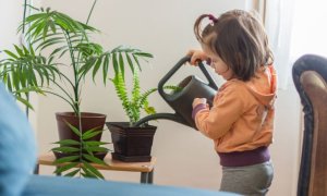 Fördere die Selbstständigkeit deiner Kinder